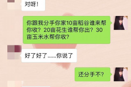 灵台灵台的要账公司在催收过程中的策略和技巧有哪些？